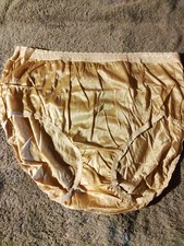 Hanes Size 12 Panties w/Lace 1990's 100 nylon Silky Soft