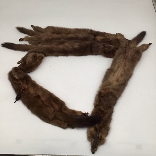 Quadruple Ferret (or Mink) Scarf/Stole - 4 Whole Pelts - Picture 9 of 11
