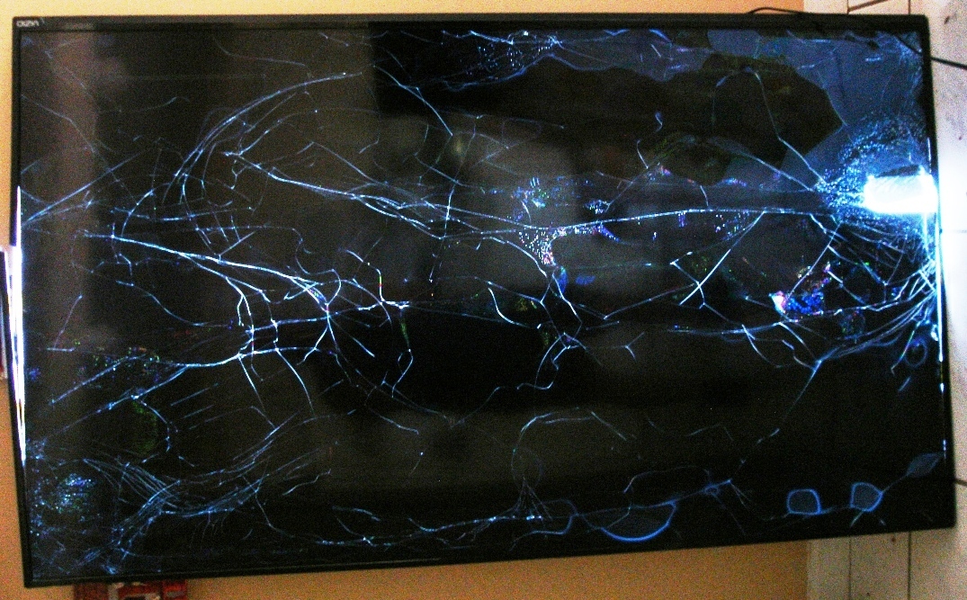 Picture 4 of 4