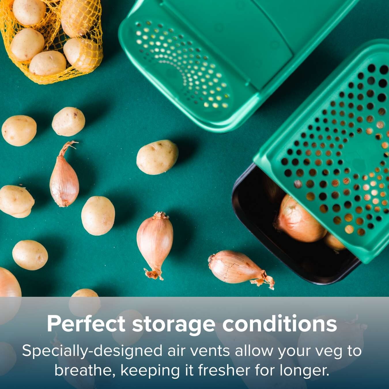 Tupperware OnionSmart Kitchen Pantry Organisation Storage Container eBay