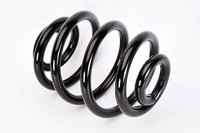 Magnum Technology Federn Fahrwerksfedern Hinten SW076MT