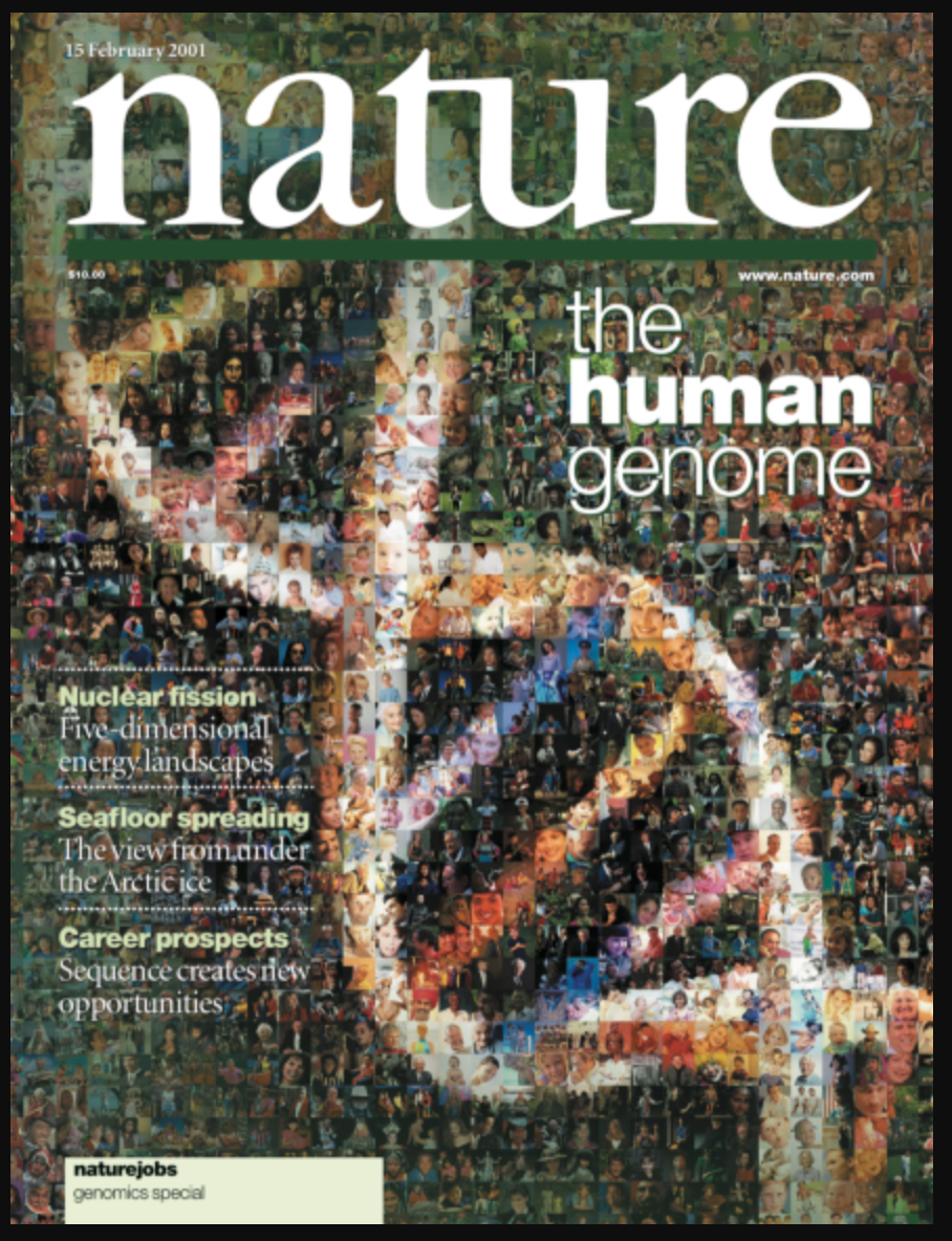 RARE Nature Magazine Human Genome - Foldout February 2001 Vol 409