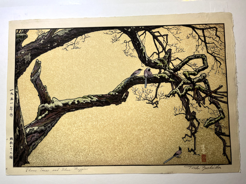 Toshi Yoshida Woodblock - Plum Tree and Blue Magpie