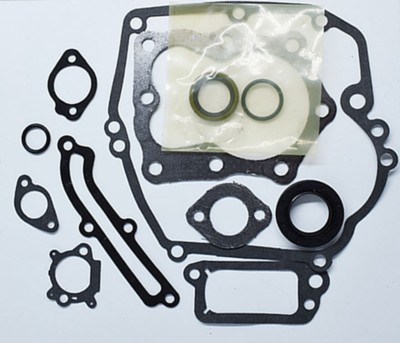 Set Guarnizioni Valvole Briggs &amp; Stratton 590508 - Ricambio Per Motori 794307 E 497316