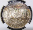 1890 Morgan Silver Dollar -Philadelphia - NGC MS 63- Beautiful Tape & Edge Toner
