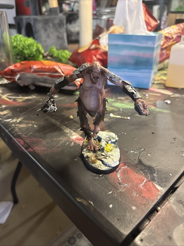 Warhammer AOS Destruction Sons of Behemat Presale Painted Gallery Army model GW