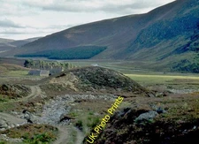 Photo 6x4 Glenmark farm Carlochy/NO4183  c2016