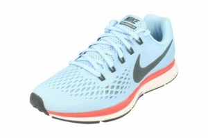 pegasus 34 ice blue