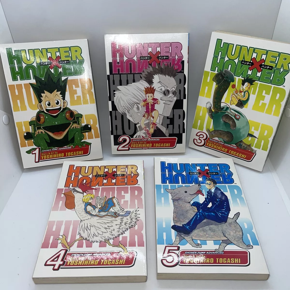 Hunter X Hunter Manga Volume 8