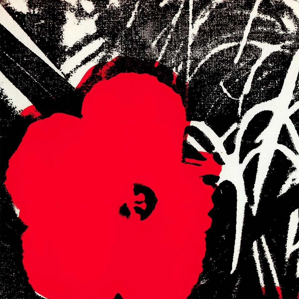 36 Вт «x 36H» цветы (красный), 1964 Энди Уорхол - черный поп-арт выбор холста - Изображение 3 из 4