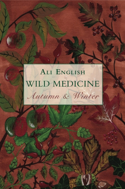 Wild Medicine, Autumn and Winter by Ali English (Paperback Book)