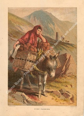 DRUCK: 1871; DER TRÄGER. EIN MODERNER FARBNACHDRUCK EINER ORIGINALILLUSTRATION