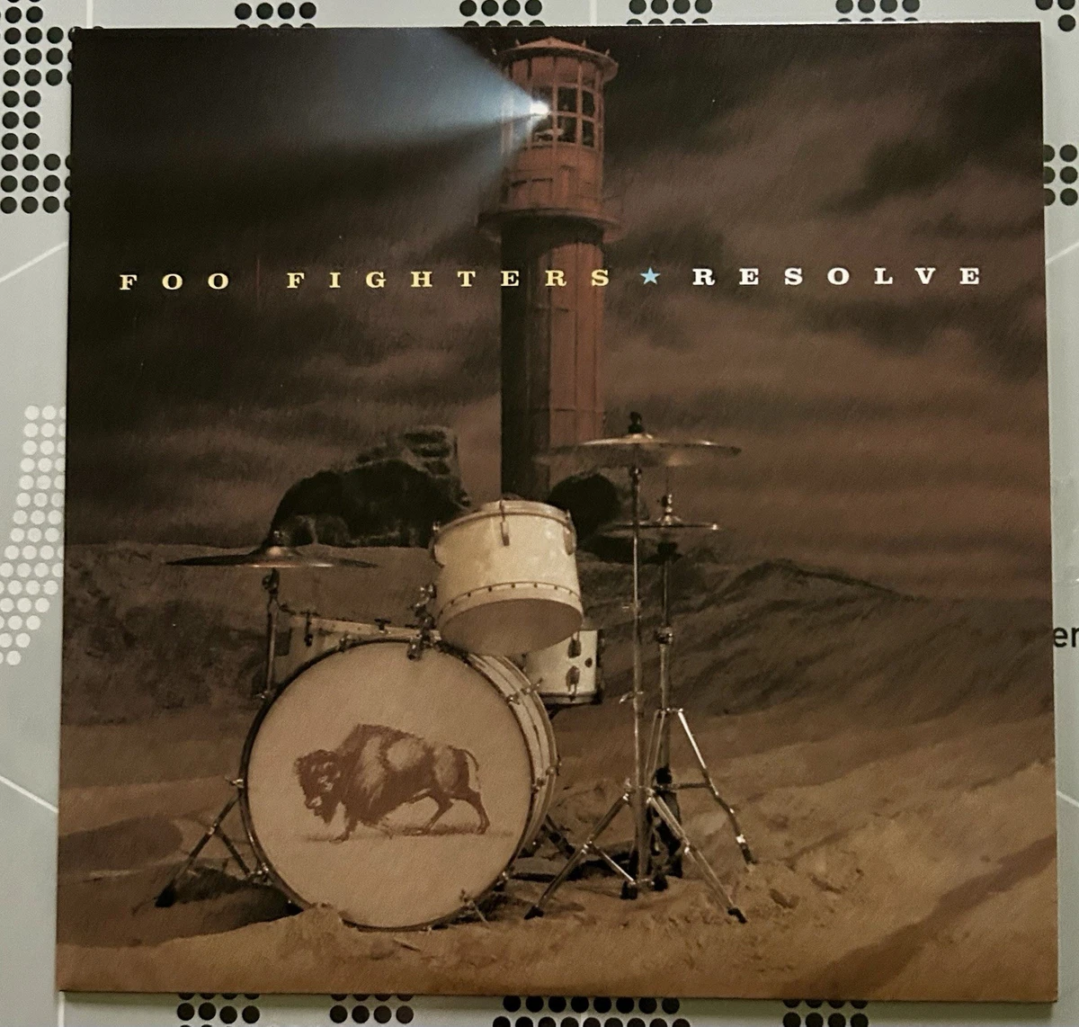Foo Fighters 7