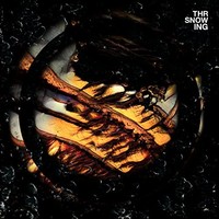Throwing Snow - Dragons - Vinyl Record 12 Record - G3Z