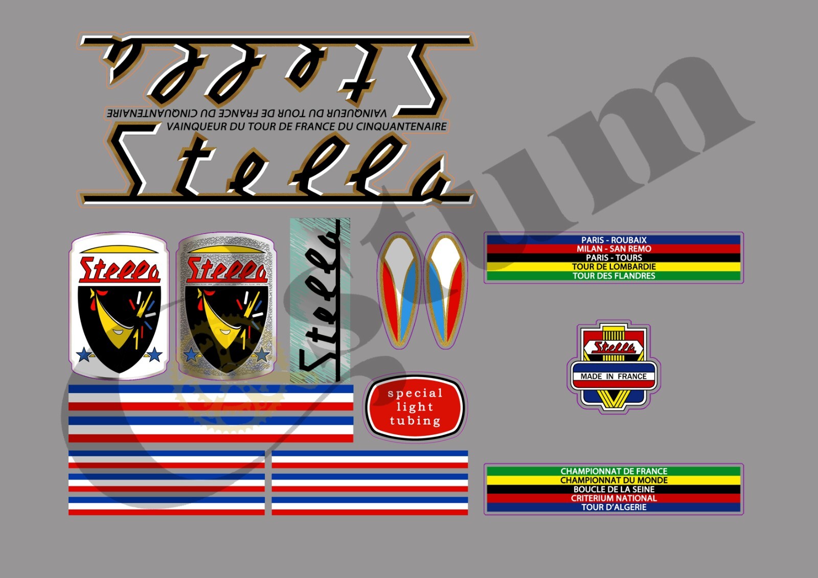 Decals STELLA STELL307 stickers de cadre de vélo pour masquer les rayures