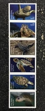 2024USA #5865-5870b Forever Protect Sea Turtles- Strip of 6 (as pictured)