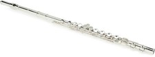 Di Zhao Flutes DZ 301 Student Flute with Offset G