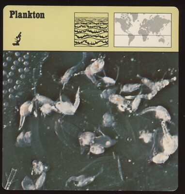 plankton mtg card Plankton, Tiny Tyrant Magic the Gathering Quicksand Keychain KeychainMonster Another target creature you control gains toxic 1 and hexproof from that color until end of turn plankton mtg card Secret Lair
