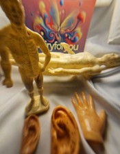 Set of 5 Traditional Chinese Medicine Acupuncture and Meridian Anatomical Models