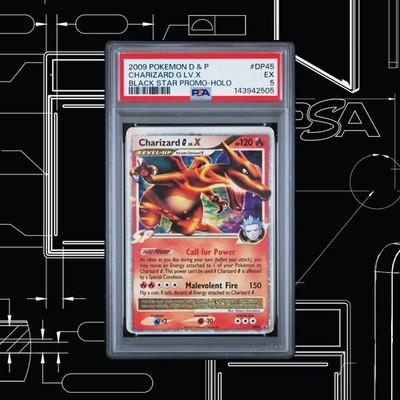 30th ANNIVERSARY CHARIZARD HERITAGE ARCHIVE (12 CARD PSA VAULT
