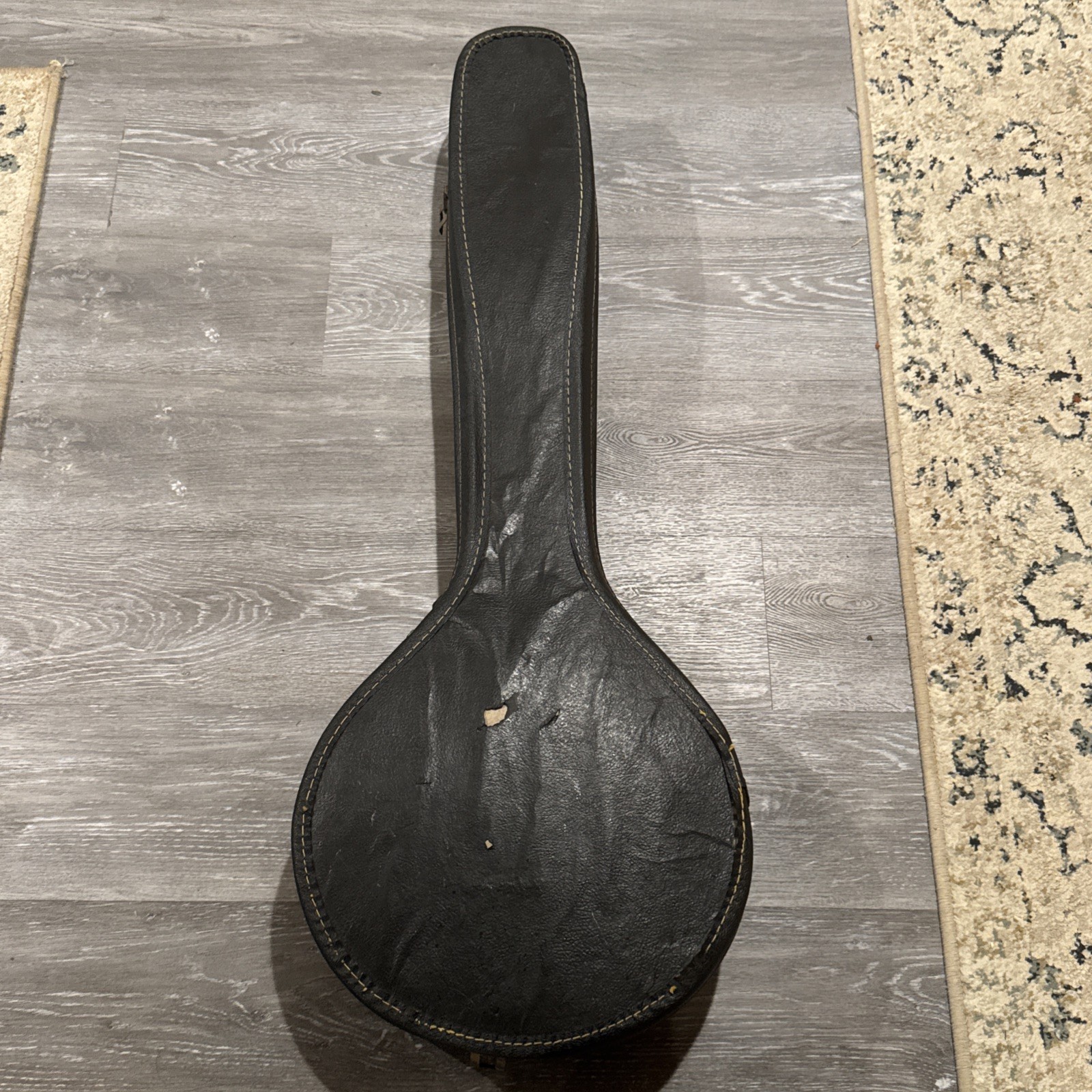 1970 Epiphone Mastertone Banjo – Grover Bridge, Vintage Tone, original case