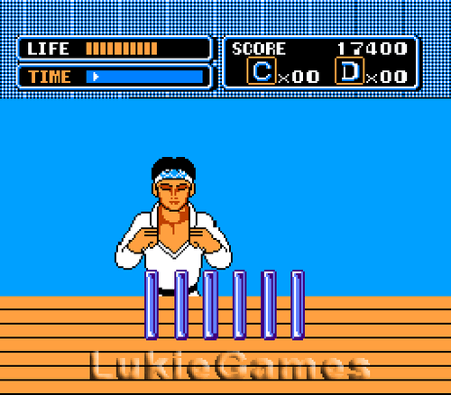 The Karate Kid - NES Nintendo Game