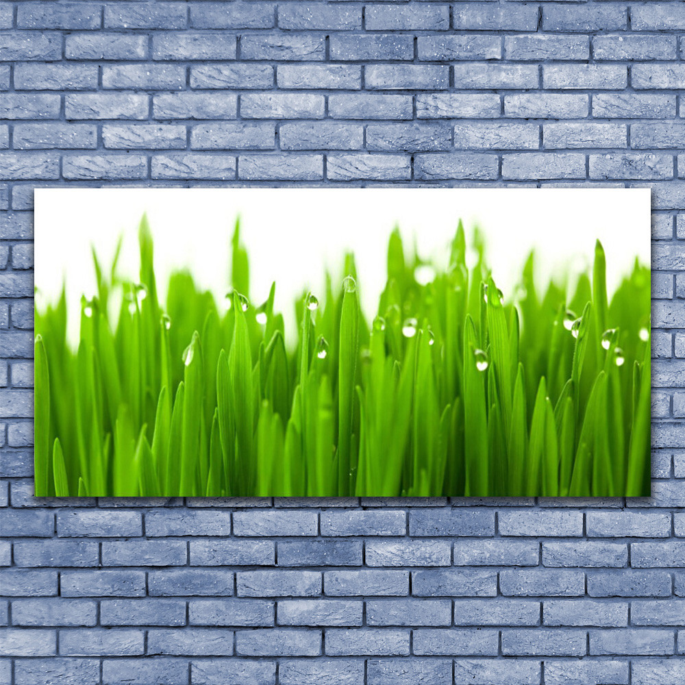Impression sous verre de qualité premium 140x70 cm au motif de nature sauvage