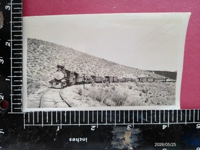 VIRGINIA & TRUCKEE RAILROAD LOCOMOTIVE #27 EXCURSION TRAIN WASHOE CREEK NV PHOTO