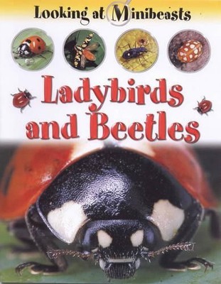 MINIBEASTS LADYBIRDS & BEETLES (Looking at Minibeast by Morgan, Sally 1841383902
