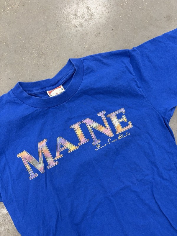 Vintage 90s Maine Destination T Shirt Size Large Travel Nutmeg Tag USA