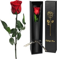 Yamonic Ewige Rose Geschenke FüR Frauen,Infinity Rose Mit Stiel