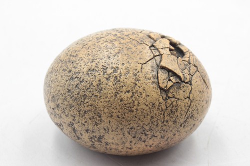 1994 Windstone Editions 94 Pena - Baby Dragon Hatching Egg Statue Figurine - Picture 3 of 5