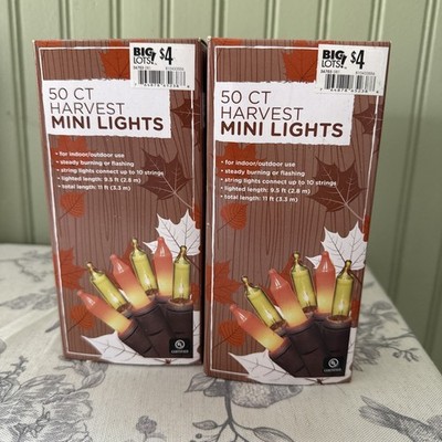 Halloween Harvest Fall 100 Mini String Lights Brown Wire 22ft Indoor/Outdoor