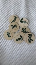 Baby Milestone Discs Wood Green Lettering 1-12 Months Photo Props Set with Bag