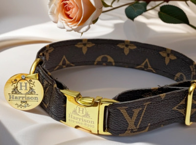 Medium Louis Vuitton Monogram Collar - Not Baxter