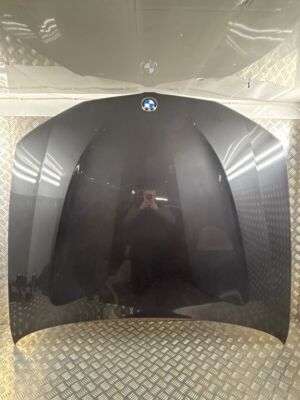 BMW X4 F26 2016 Motorhaube ETO19069