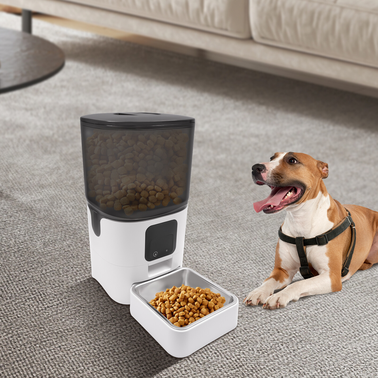 Dispenser Automatic Cat Dog Food Dispenser