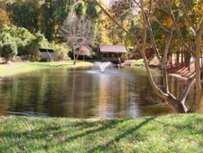 Scott Aerator Solar DA-20 Display Aerator, 3/4 HP 4-Panel 15001