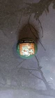 Digimon Gesomon Marble (GREEN)