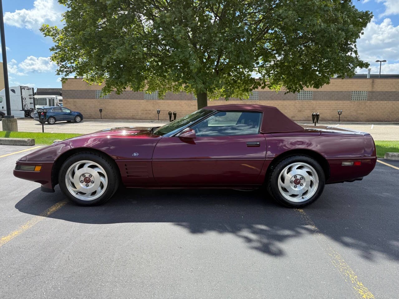 1993 Light Driftwood Metallic Chevrolet Corvette   | C4 Corvette Photo 5