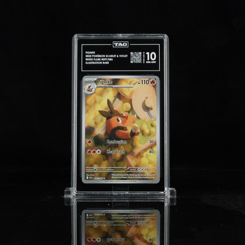 Pignite graded TAG 10 for sale on eBay