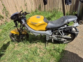 triumph tt600