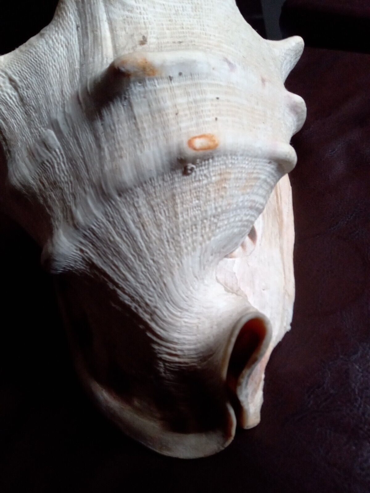 Foto 5 di 7