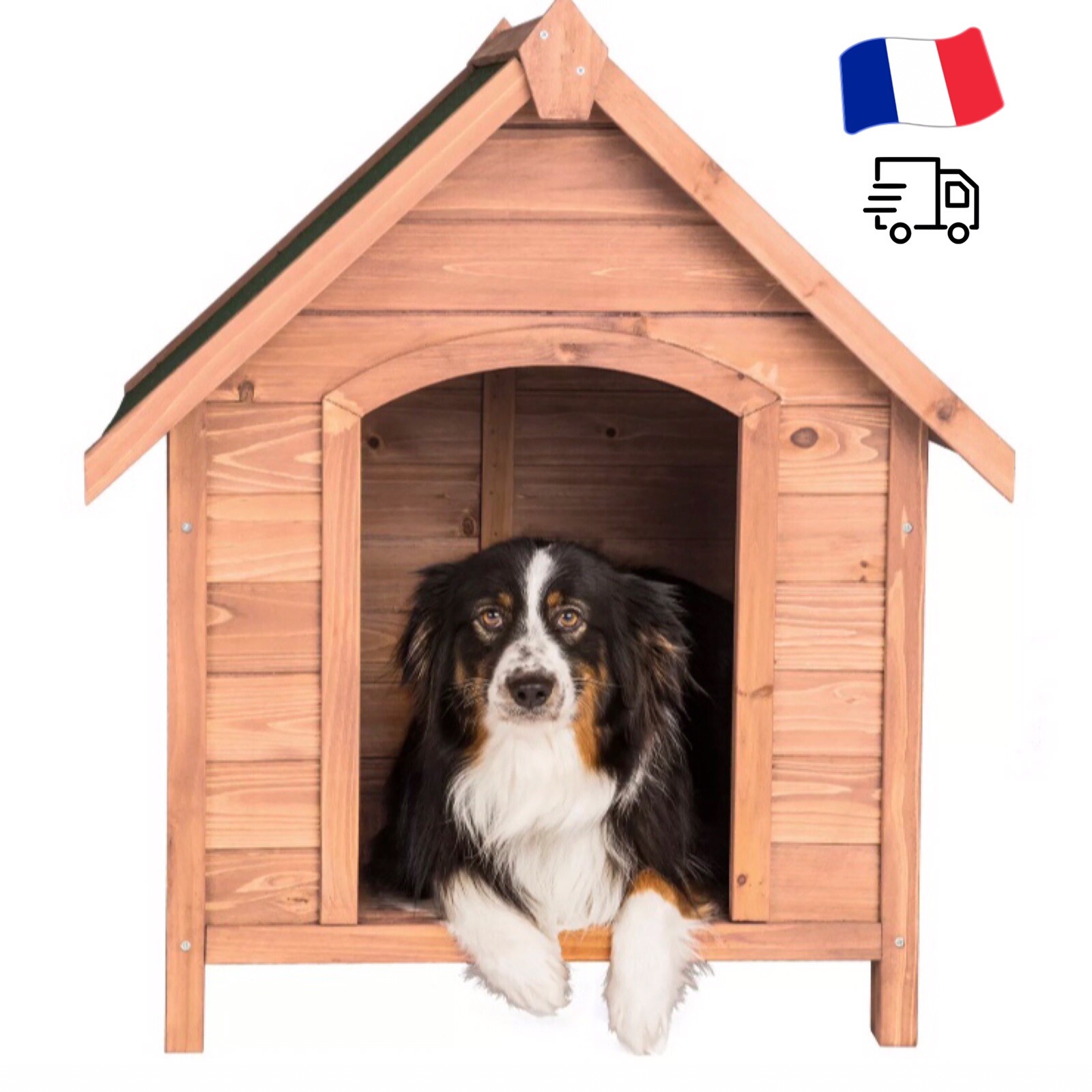 Niche pour chien extérieur en bois avec toit bitumé contre l'humidité du sol