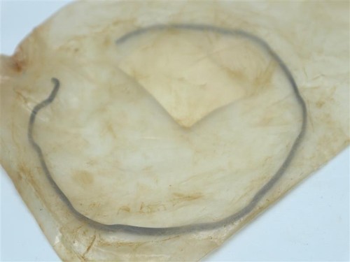 Isuzu Motors 94048412 1-09587017-0 1095870170 Hub Snap Ring 30 Days Warranty - Picture 5 of 6