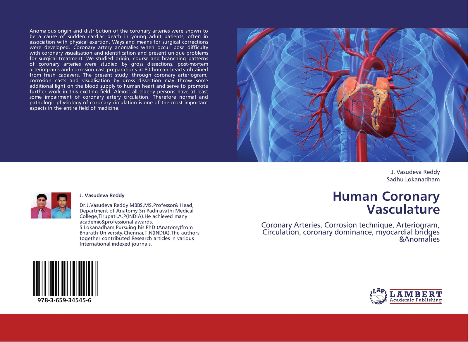 Thumbnail - J. Vasudeva Reddy (u. A.) | Human Coronary Vasculature | Taschenbuch |