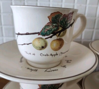 【愛品館江戸川店】Noritake カップ&ソーサー5点セットID：102-026620-007 Set 4 Noritake Ireland Country Diary of an Edwardian Lady Cups