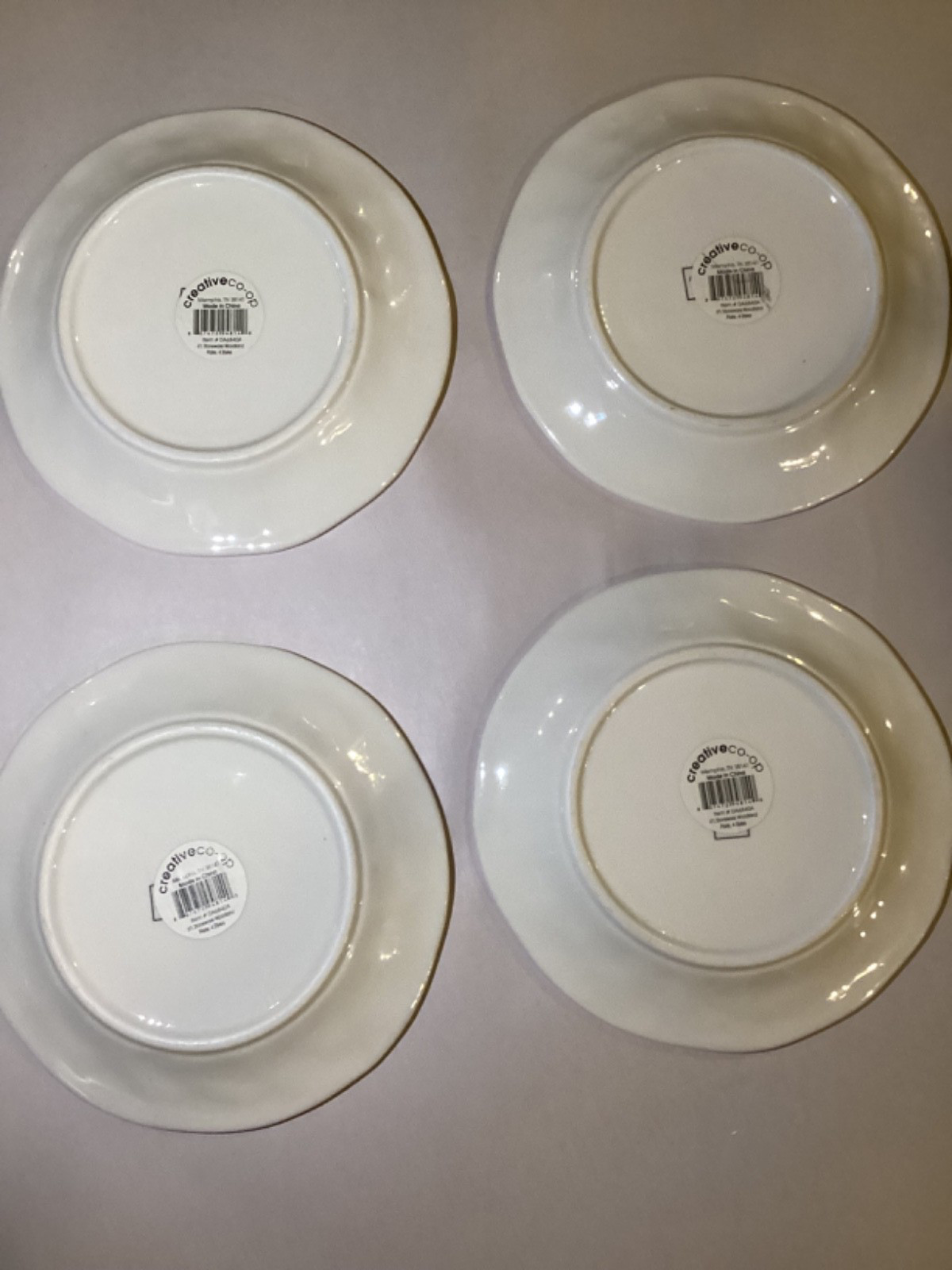 4 Creative Co-op 6”  Insect Plates in Excellent Condition