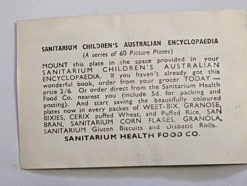 Vintage Sanitarium Collectable Card no: 15 War canoes solomon islands - Picture 2 of 2