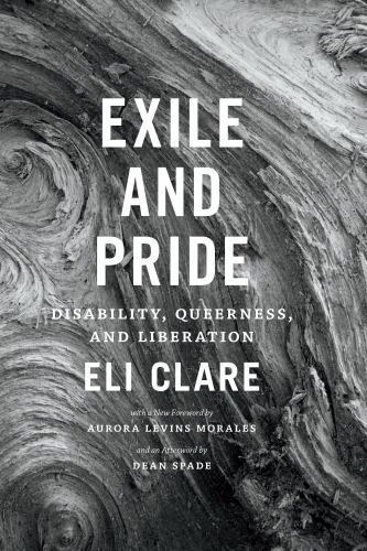 Exile and Pride: Disability Queerness and Liberation by Eli Clare (PB 2015) - Image 2